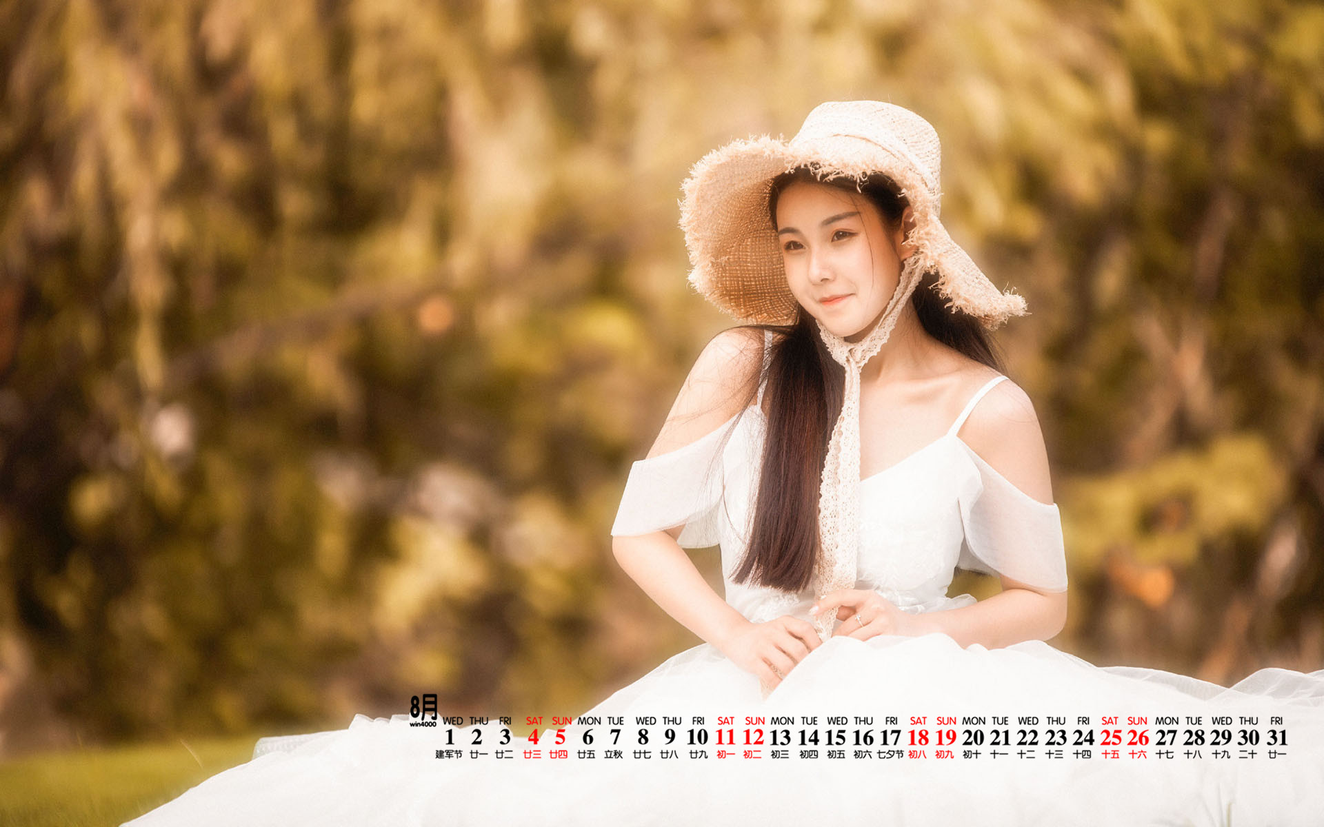8月3日好莱坞会员分享